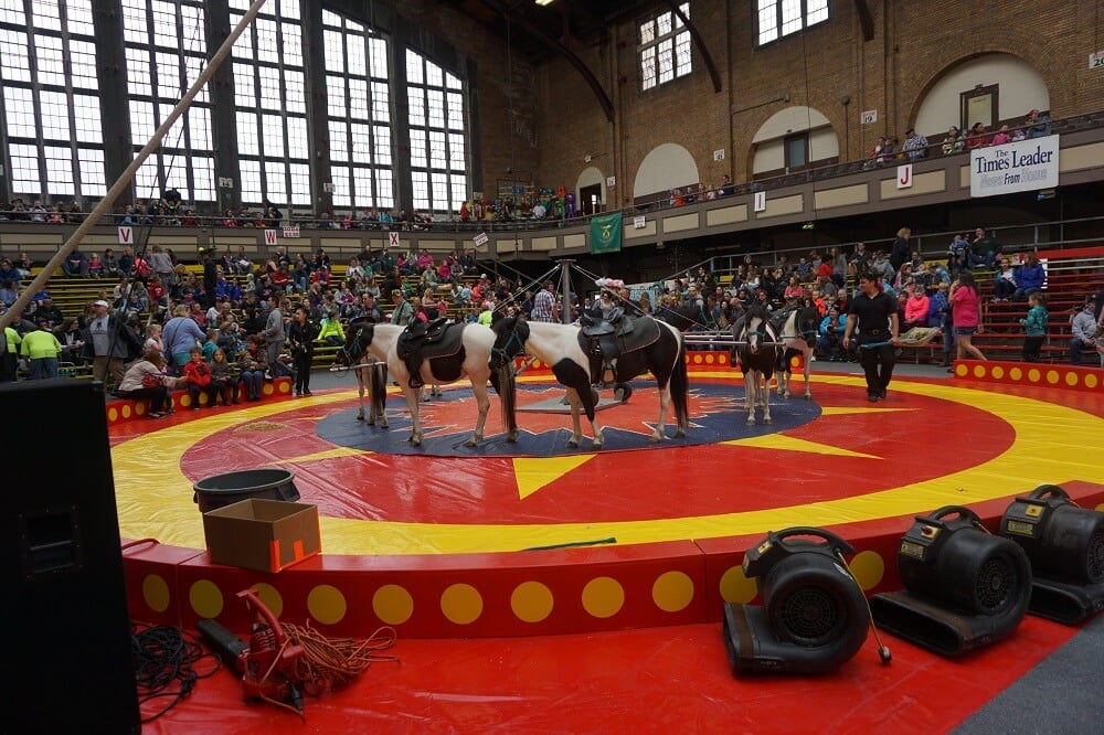 Pony Rides Live Carousels