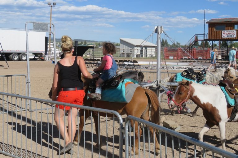 Pony Rides and Live Carousels—Why to Keep Your Kids Away PETA