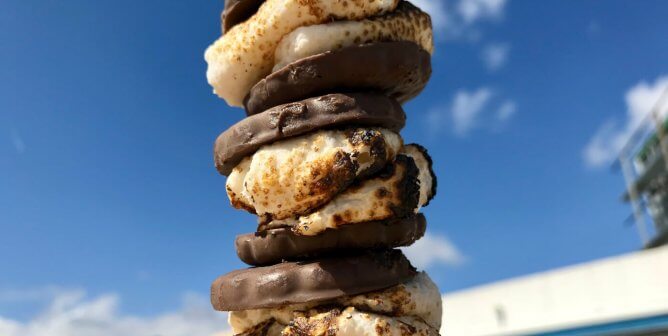 s'mores with thin mints