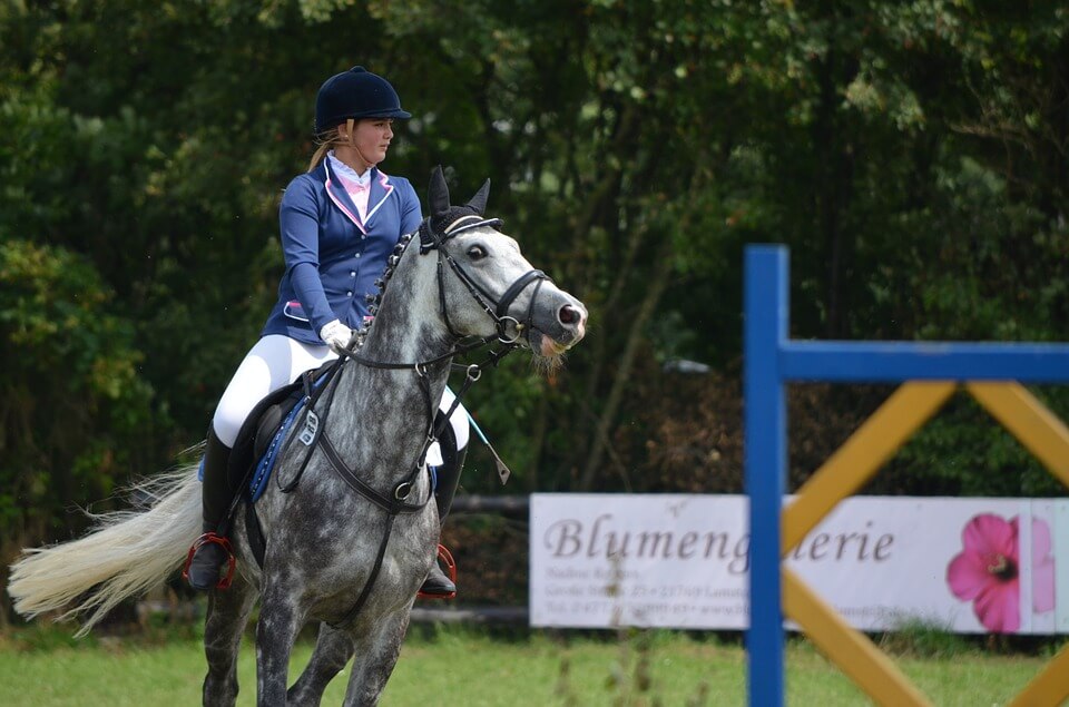 english riding