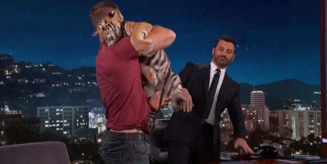 Wild Animals and Talk Shows Don’t Mix