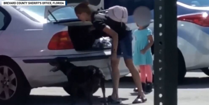 Woman Shoves Sick Dog Into Trunk of Car After Shelter Turns Them Away