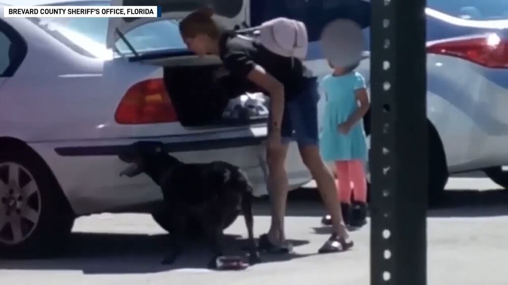 Woman Arrested on Cruelty Charges After Shelter Turns Dog Away | PETA
