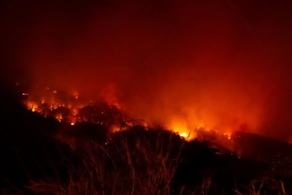 amazon rain forest fire, destruction, deforestation