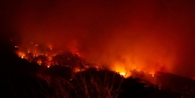 amazon rain forest fire, destruction, deforestation