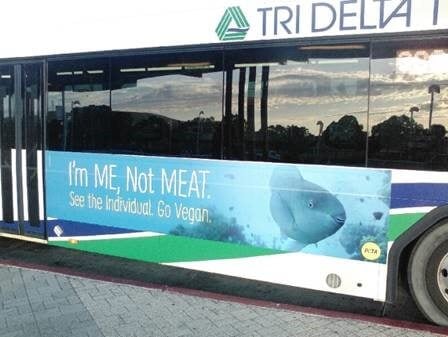 Me Not Meat Fish Bus Ad 