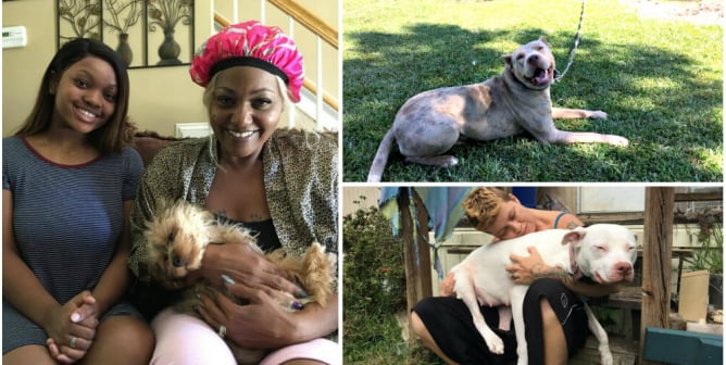 Community Animal Project August