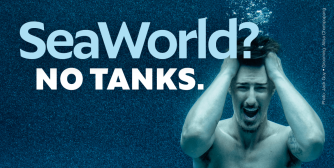 Eric Balfour Seaworld