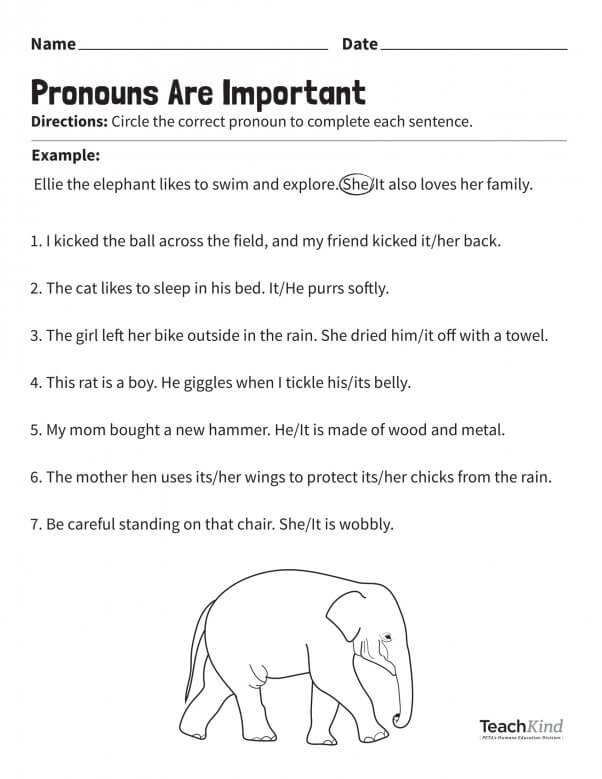 Delle the Dolphin Says: Pronouns Are Important! (Grades K–2) | PETA