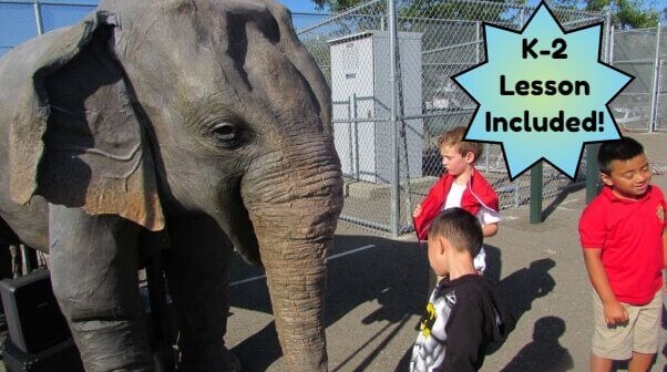 Someone, Not Something: Pronouns Are Important (Grades K–2)