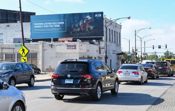 Wearing Leather Kills Animals PETA Ad in Chicago