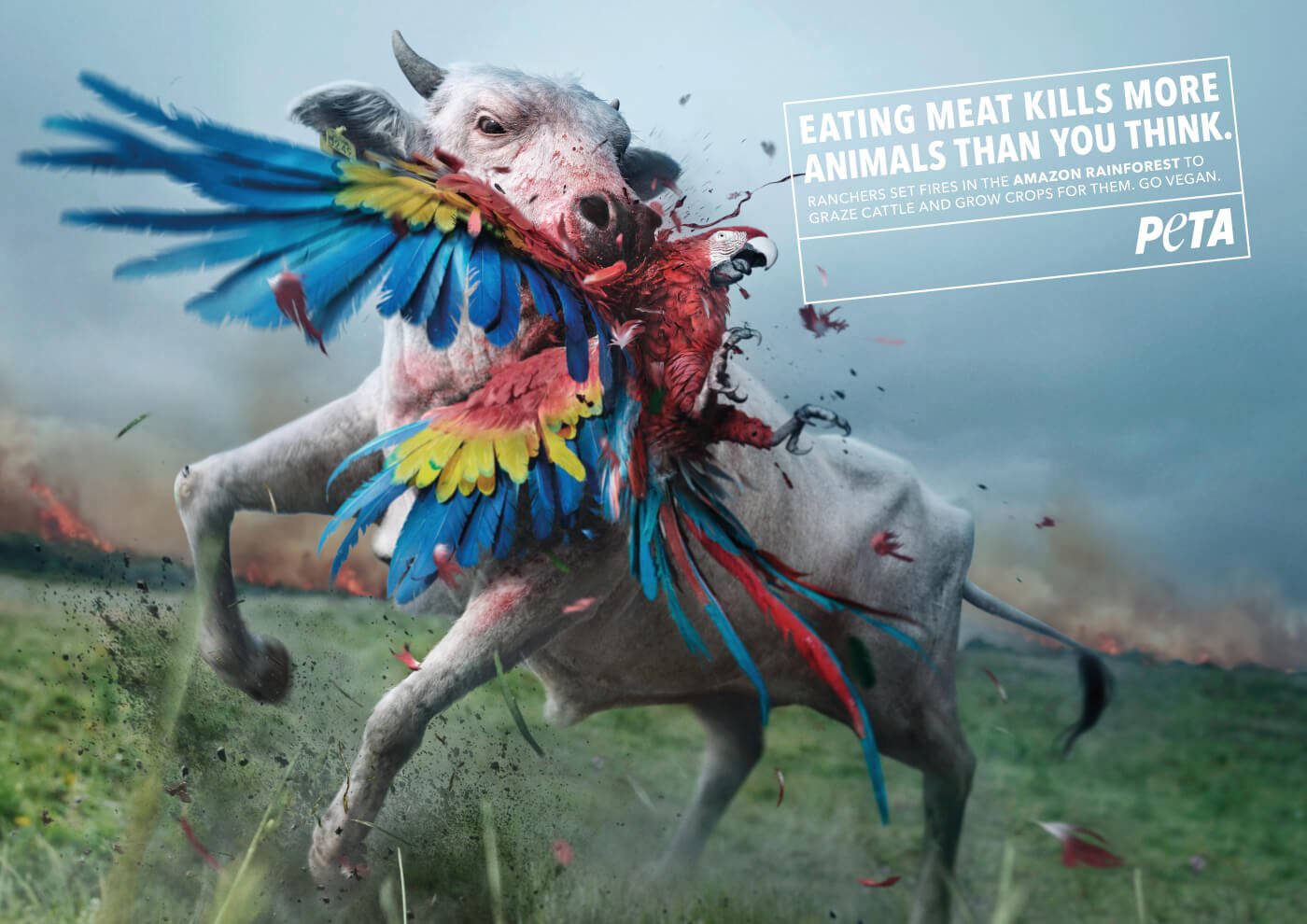 This Art Shows How Eating Meat Hurts the Amazon | PETA