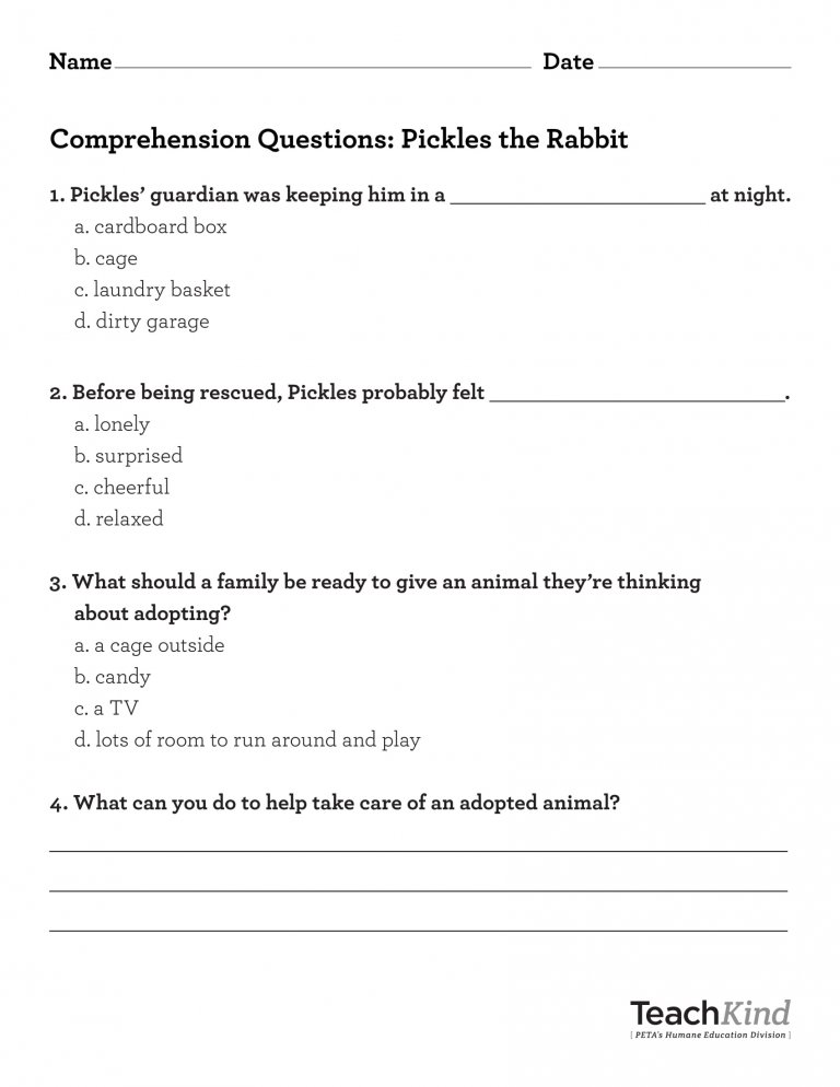 TeachKind Rescue Stories: Pickles the Rabbit | PETA