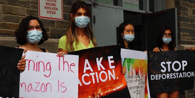 Will the Entire Amazon Rainforest Be Destroyed Because of Meat?