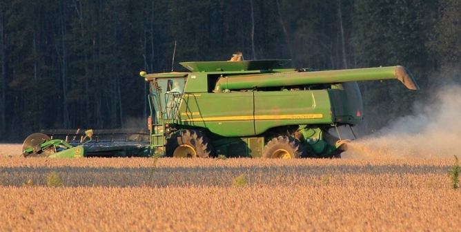 Amazon Forest, Soybeans