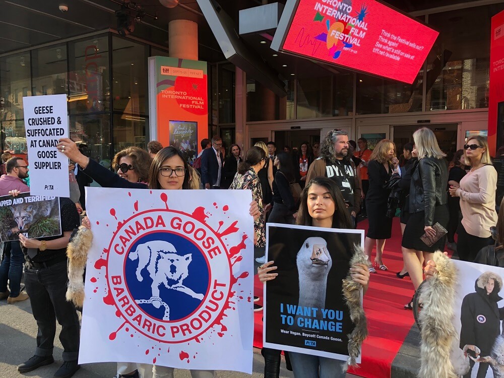 Toronto International Film Festival Protest