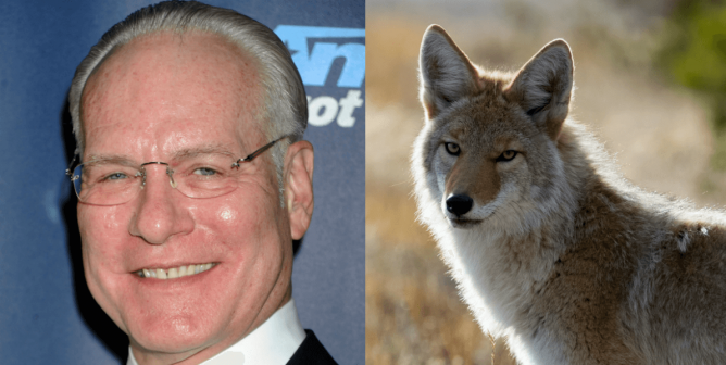 Tim Gunn Fur Ban
