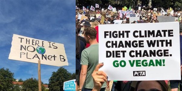 signs from worldwide climate march say "there is no planet b" and "fight climate change with diet change."