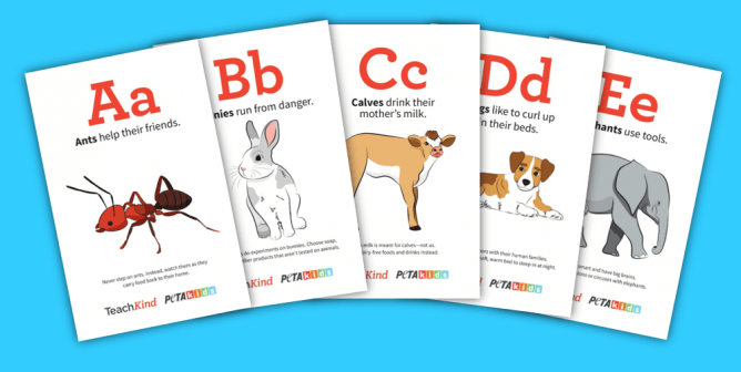 TeachKind’s ‘Like You, Only Different’ Alphabet Flashcards