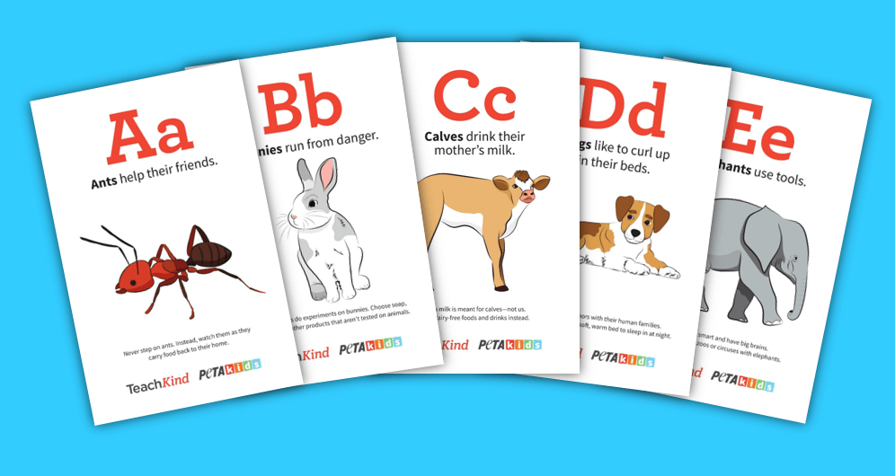 TeachKind's 'Like You, Only Different' Alphabet Flashcards | PETA