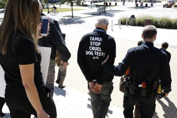 texas A&M, dog laboratory protest