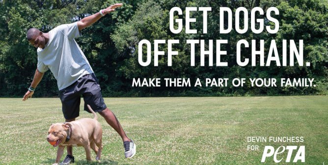 Devin Funchess: Get Dogs Off The Chain