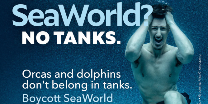 Eric Balfour: SeaWorld? No Tanks.