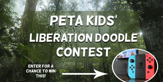 peta kids liberation doodle contest