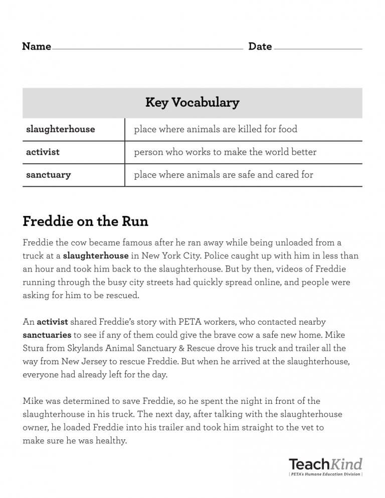 Rescue Stories Printables | PETA