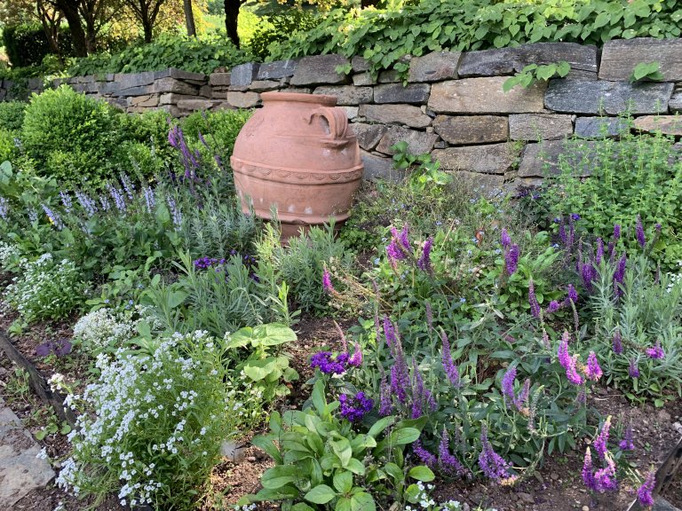 Easy Ways to Make Your Yard a Pretty Wildlife Habitat PETA