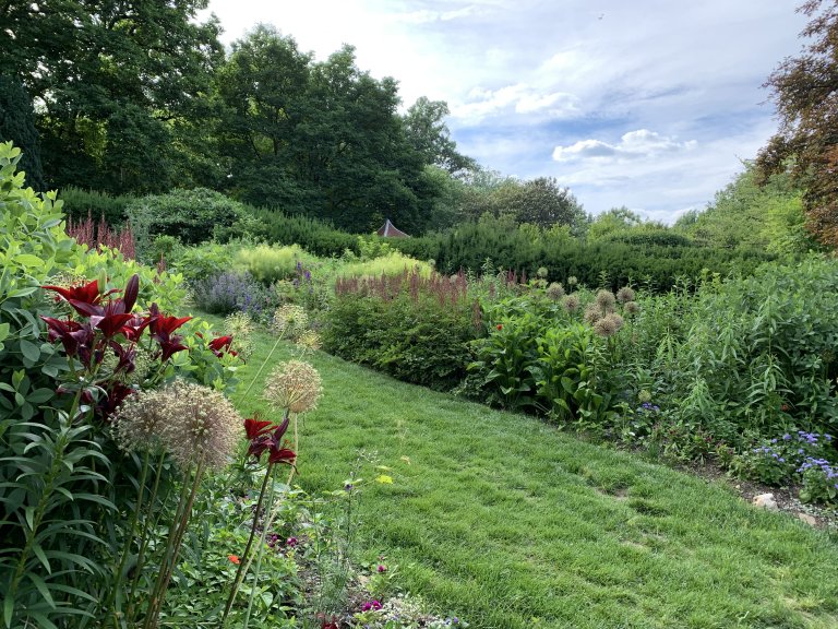 Easy Ways to Make Your Yard a Pretty Wildlife Habitat PETA