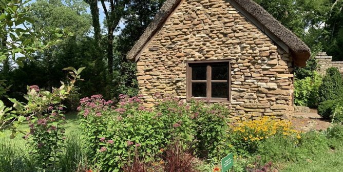 Easiest-Ever Ways to Have a Beautiful, Wildlife-Friendly Yard