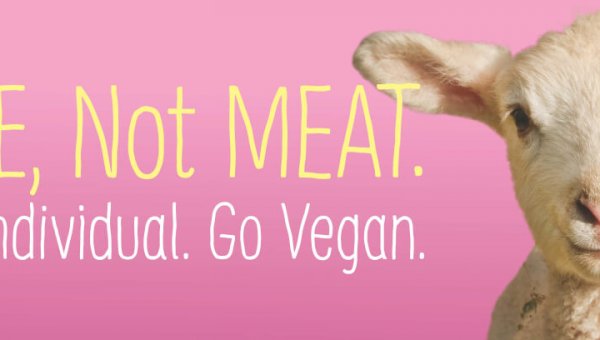 I’m ME, Not MEAT (Lamb)