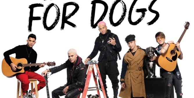 CNCO: Have A Heart For Dogs