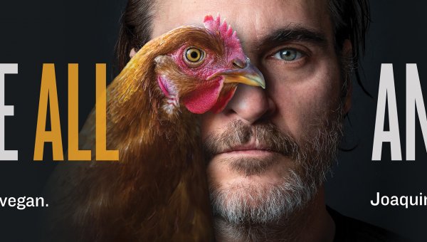Joaquin Phoenix: We Are All Animals (Billboard)