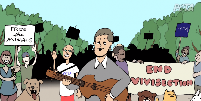 Paul McCartney Looking for Changes PETA