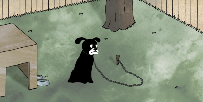 Make Dogs’ Dreams Come True