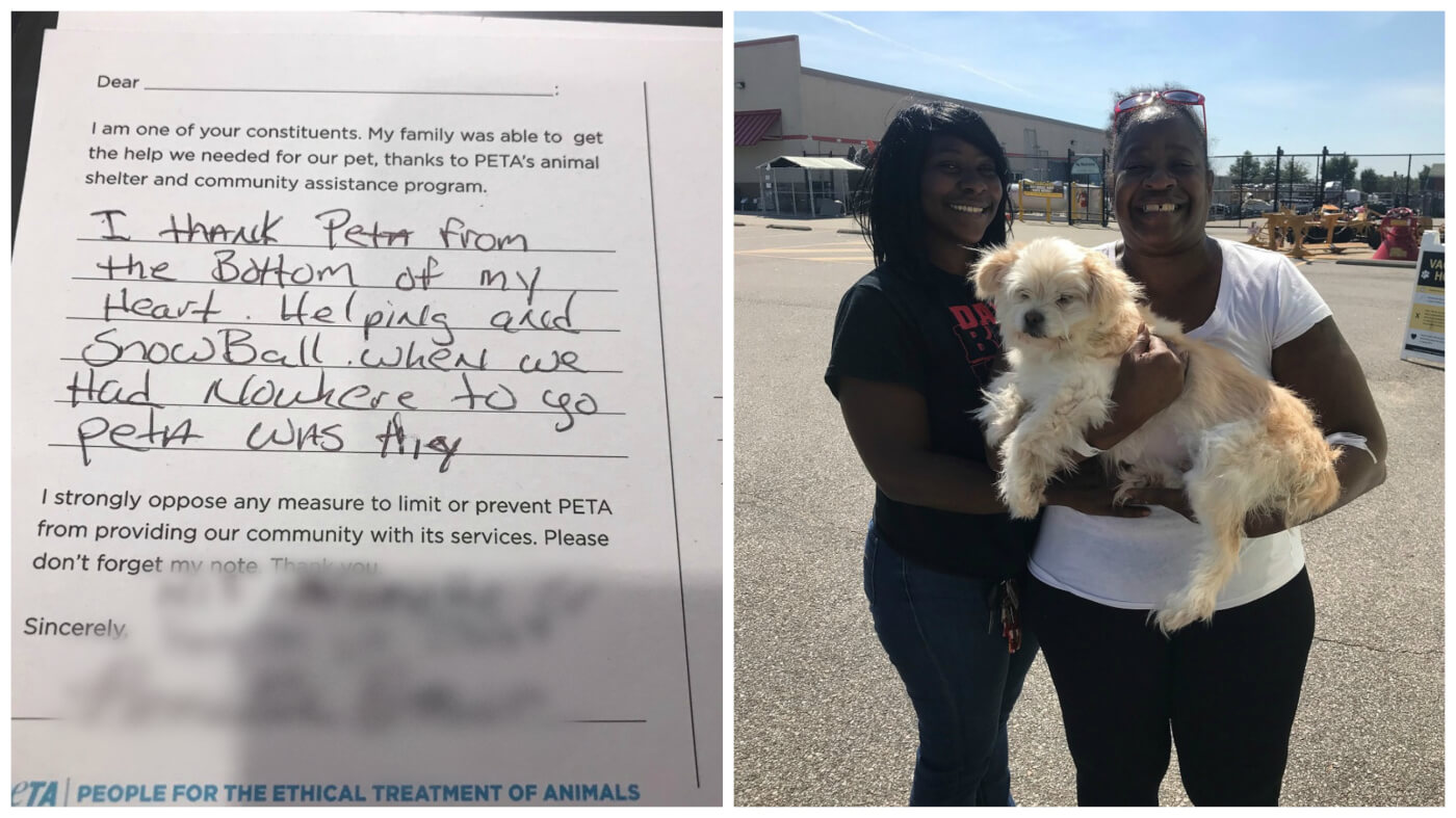 Animal Rescue