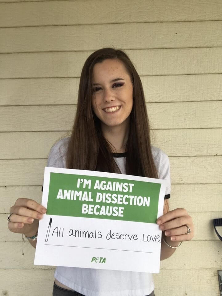 Animal Dissection Kills—Here's How to Help Stop It PETA