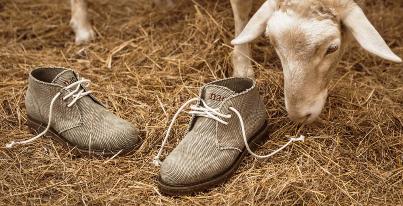 The New NAE x PETA Vegan Desert Boots Are Here! | PETA