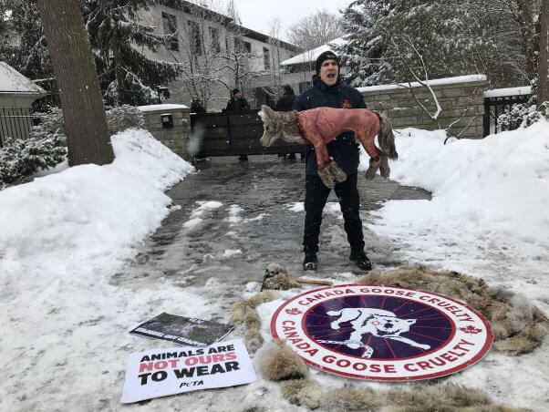 PETA Canada Goose Campaign