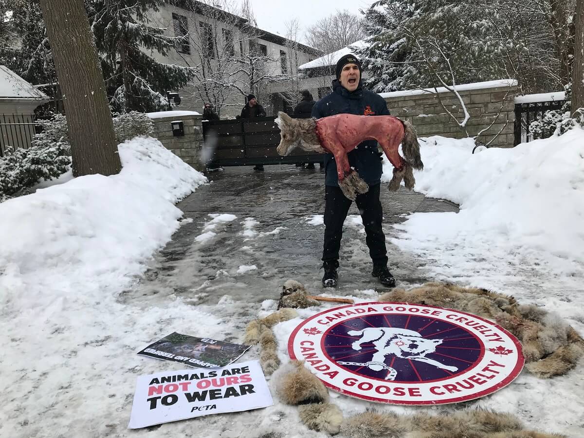 Are Canada Goose Jackets inhumane? The Controversy Explained