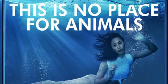 Eva Gutowski: Don’t Support Marine Parks