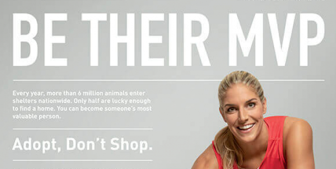 Elena Delle Donne: Be Their MVP—Adopt, Don’t Shop