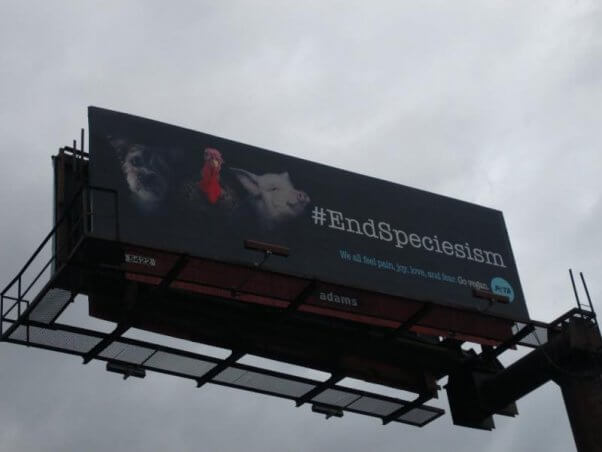End Speciesism Billboard in Charleston South Carolina