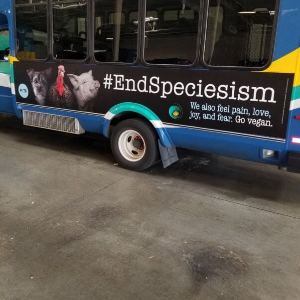 End Speciesism Bus Ads in Wichita Kansas