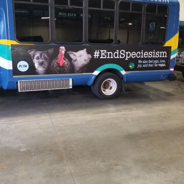 End Speciesism Bus Ads in Wichita