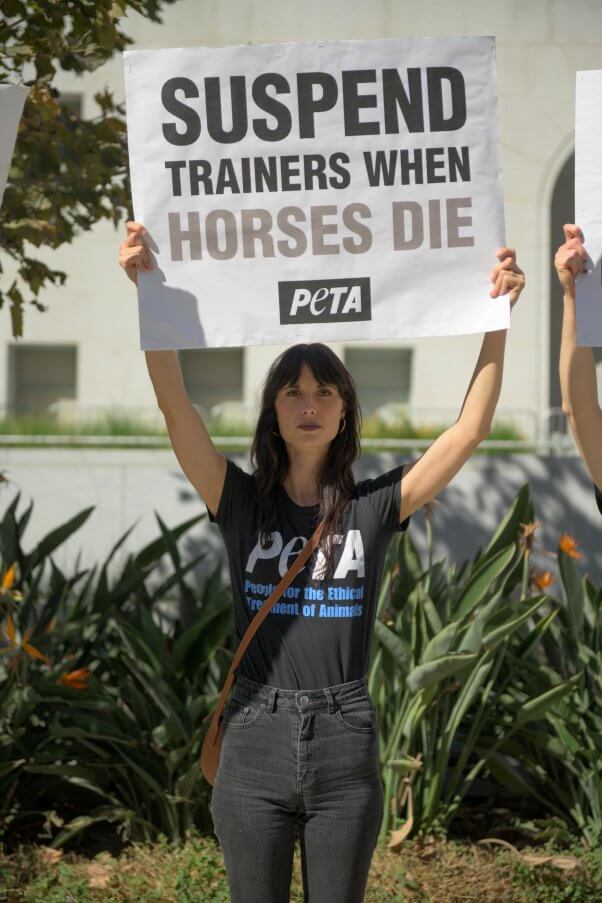 PETA's 10 Simple New Racetrack Rules Will Save Lives