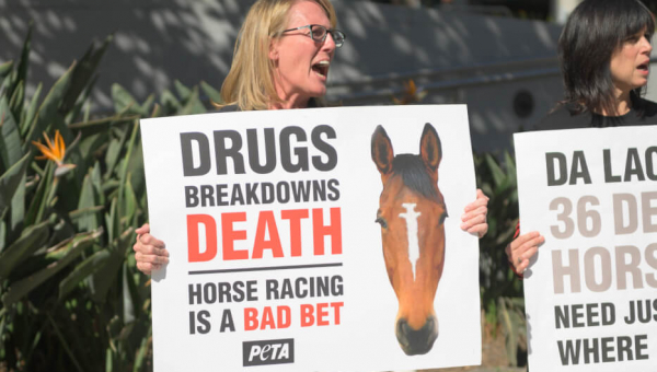 women protest horse racing in los angeles