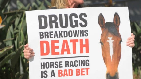 women protest horse racing in los angeles